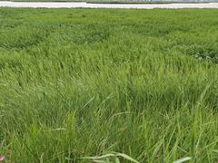 -敕勒川草原文化旅游区