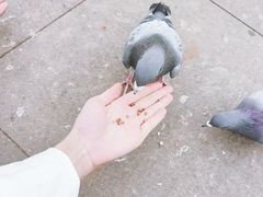 -沈阳森林动物园