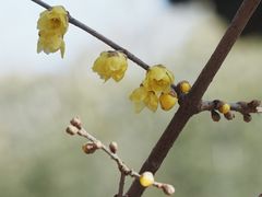 -月坛公园