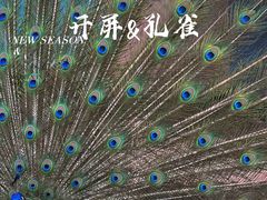-菊园百果园