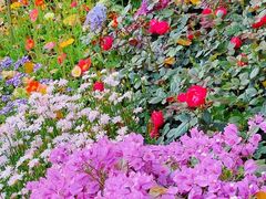 -人民公园(罗湖区)