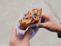 -半月镰胡姐脆皮萝卜饺子