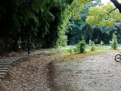 -堤角公园