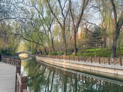 -迎泽公园