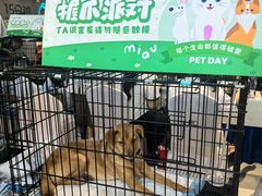 -万达广场(合肥包河店)