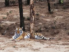 -云南野生动物园