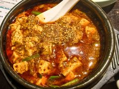 -陈麻婆豆腐总店