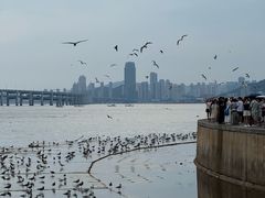 -星海广场