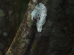 -七仙岭温泉国家森林公园