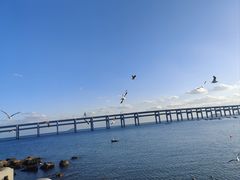 -黑石礁公园