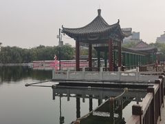 -莲花池公园