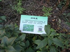 -昆山城市生态森林公园