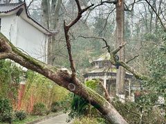 -岳麓山风景名胜区