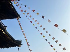 -庐山风景名胜区-东林大佛