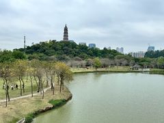 -顺峰山公园