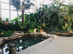 -中家鑫园温泉酒店鑫悦汤泉