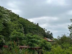 -神光山国家森林公园