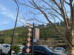 -心无尘茶餐馆(径山村店)