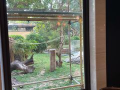 -熊猫自助餐厅.萌趣城堡(长隆熊猫酒店)