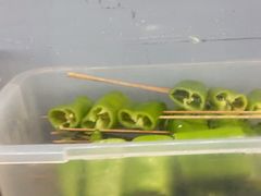 -寻味乌镇·龙虾烧烤