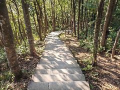 -梧桐山风景名胜区