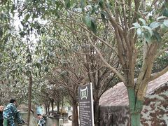 -勇士之星真人CS·团建·拓展(清水河公园店)