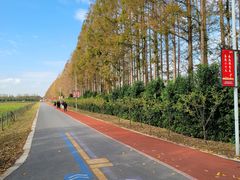 -上海长兴岛郊野公园