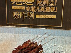 -福苗小骆驼烧烤(莲湖路店)