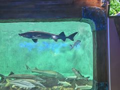 -太平洋海底世界