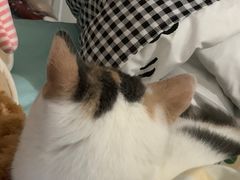 -宠颐生宠物医院外科·内科·皮肤科·影像科(石龙店)