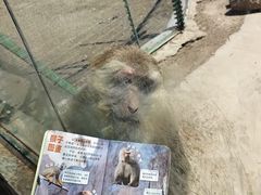 -大青山野生动物园