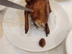 -有腥气私房菜·寻味顺德