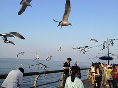 -东港音乐喷泉广场