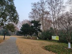 -习家池