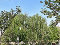 -宝岛公园