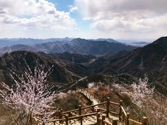 -大岭沟猕猴桃谷风景区