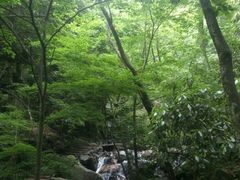 -藏龙百瀑风景区