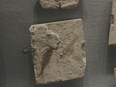 -湖南省地质博物馆