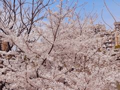 -龙美术馆(西岸馆)