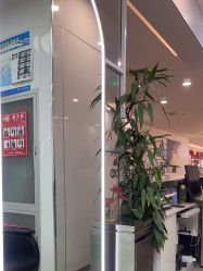 -时尚殿堂hair salon