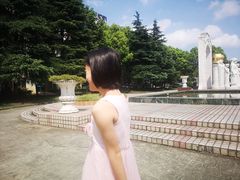 -上海市民办金苹果学校