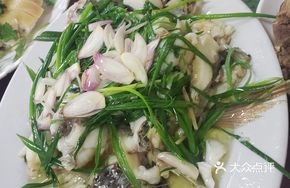 Scallion Oil Steamed Tilapia
