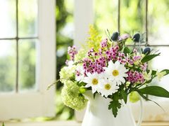 -杭州海华满陇度假酒店