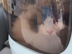 -谐和益家动物医院·免疫绝育·血液透析·宠保定点医院(高新伊藤分院)