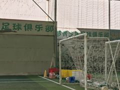 -飞梦少儿足球培训(塘桥校区)