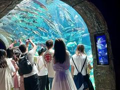 -波塞冬旅游度假区