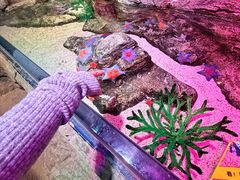 -沈阳海洋探索中心