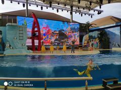 -三亚海昌梦幻海洋不夜城