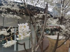 -桂溪生态公园