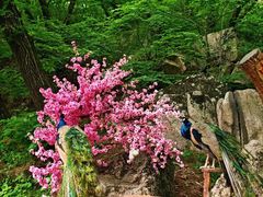 -丹东凤凰山景区
